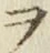 글자 ヲ