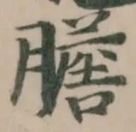膽の位置
