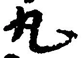 已定位丸