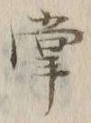 글자 掌