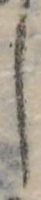 𛁅 위치 확인됨