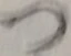 「つ」字