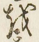 位置 確認된 𛄚
