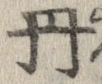 已定位丹