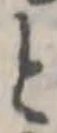 恚の位置