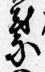 位置 確認된 葉