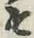 글자 そ