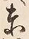 글자 東