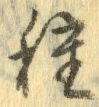 已定位種