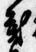 位置 確認된 葉
