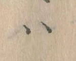 已定位𛂞