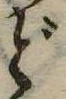 位置 確認된 ど