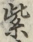 字紫