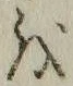 字を