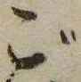 位置 確認된 ご
