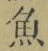 文字魚