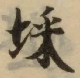 埰の位置