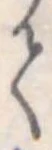 𛁳 위치 확인됨