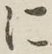 字に