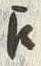 文字え