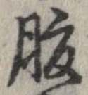 已定位腹