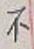 글자 不