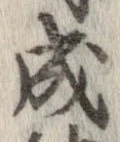位置 確認된 成