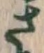 글자 さ