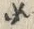 “此”字