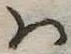 Đã định vị 𛂞