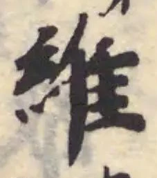 維の位置