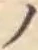 字ノ