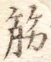 筋 위치 확인됨