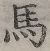 馬 위치 확인됨