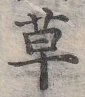 草 위치 확인됨
