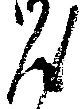 已定位汰