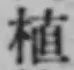 글자 植