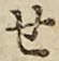 文字せ
