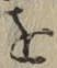 글자 を