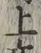 字上