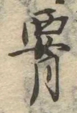 腰 위치 확인됨