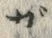 文字ー