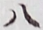 文字 八