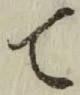 Character て