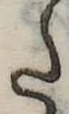 𛁠 위치 확인됨