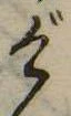 位置 確認된 げ