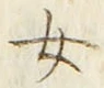 「女」字