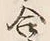 Character 合