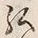 글자 弘