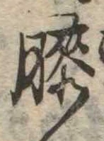 Đã định vị 膝